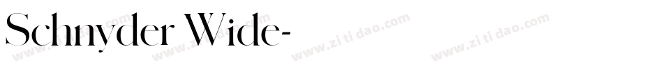Schnyder Wide字体转换
